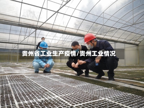 贵州省工业生产疫情/贵州工业情况-第2张图片