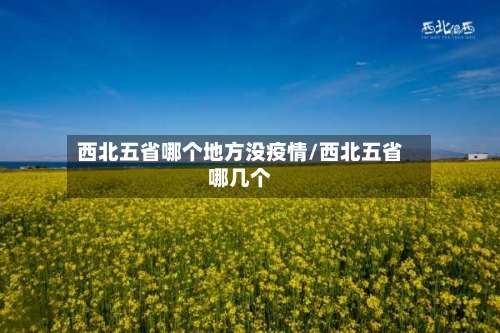 西北五省哪个地方没疫情/西北五省哪几个-第2张图片