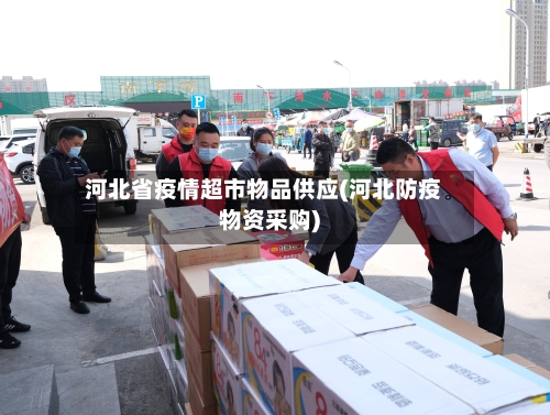河北省疫情超市物品供应(河北防疫物资采购)-第1张图片