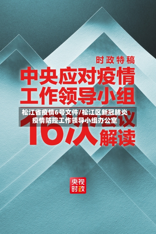 松江省疫情6号文件/松江区新冠肺炎疫情防控工作领导小组办公室-第1张图片