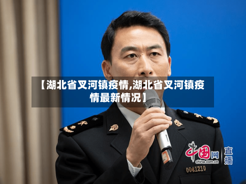 【湖北省叉河镇疫情,湖北省叉河镇疫情最新情况】-第2张图片