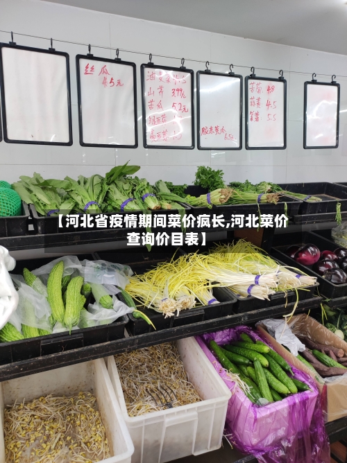 【河北省疫情期间菜价疯长,河北菜价查询价目表】-第1张图片