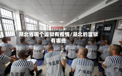 湖北省哪个监狱有疫情/湖北的监狱有哪些-第1张图片