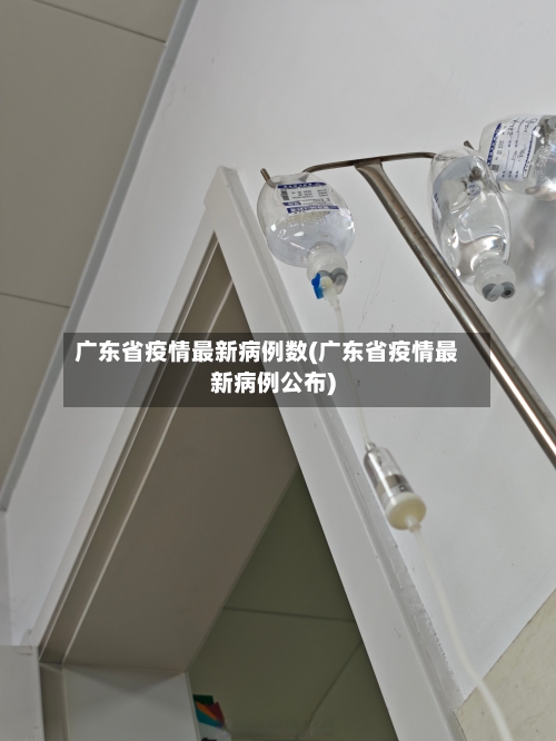 广东省疫情最新病例数(广东省疫情最新病例公布)-第1张图片