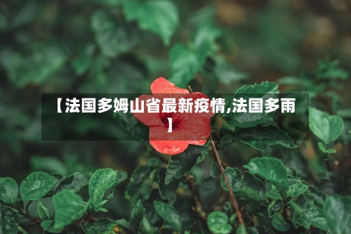 【法国多姆山省最新疫情,法国多雨】-第1张图片