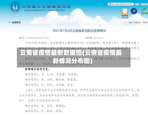 云南省疫情最新数据图(云南省疫情最新情况分布图)-第3张图片
