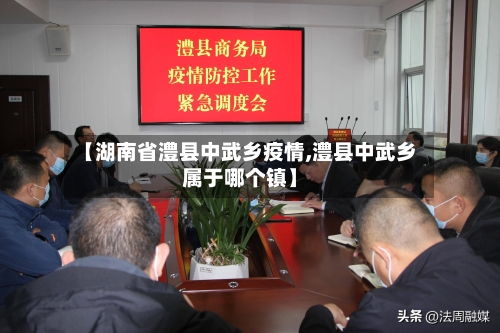 【湖南省澧县中武乡疫情,澧县中武乡属于哪个镇】-第1张图片