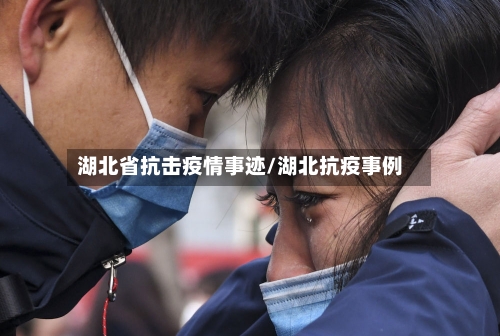 湖北省抗击疫情事迹/湖北抗疫事例-第2张图片