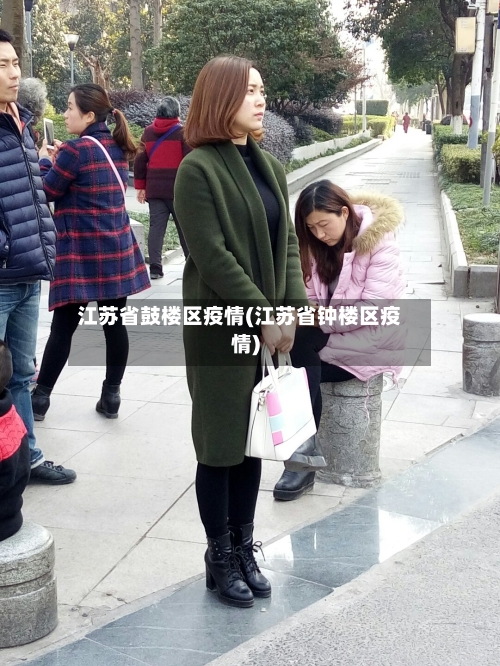 江苏省鼓楼区疫情(江苏省钟楼区疫情)-第2张图片