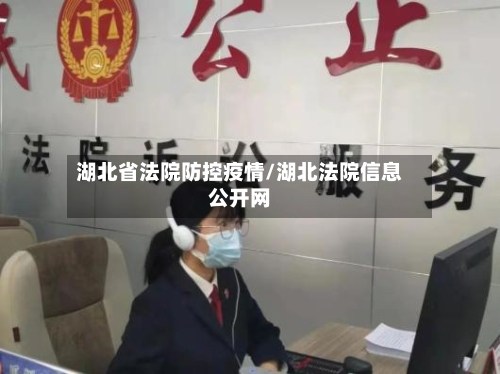 湖北省法院防控疫情/湖北法院信息公开网-第2张图片