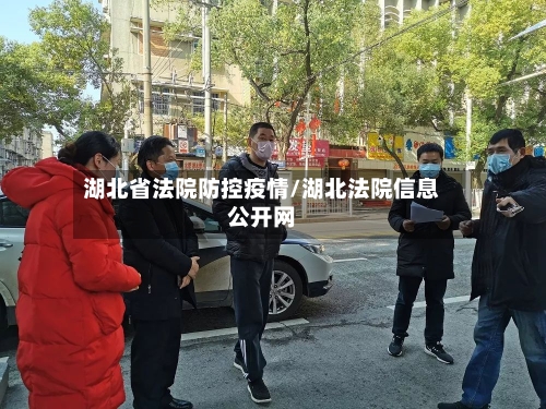 湖北省法院防控疫情/湖北法院信息公开网-第1张图片