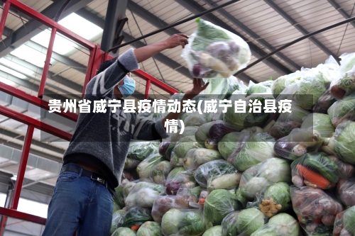 贵州省威宁县疫情动态(威宁自治县疫情)-第1张图片