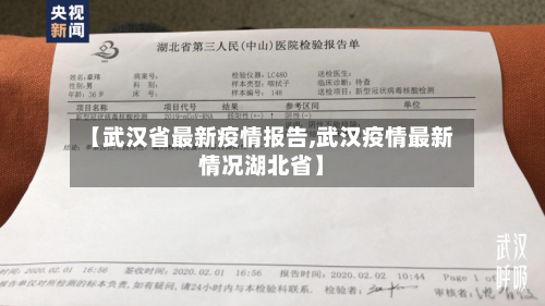 【武汉省最新疫情报告,武汉疫情最新情况湖北省】-第1张图片