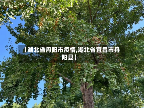 【湖北省丹阳市疫情,湖北省宜昌市丹阳县】-第1张图片