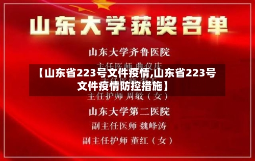 【山东省223号文件疫情,山东省223号文件疫情防控措施】-第1张图片