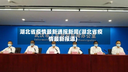湖北省疫情最新通报新闻(湖北省疫情最新报道)-第2张图片