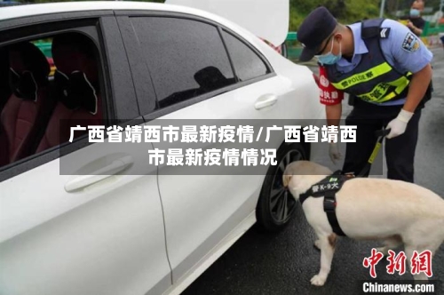 广西省靖西市最新疫情/广西省靖西市最新疫情情况-第1张图片