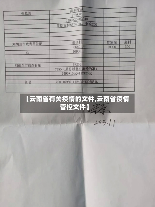 【云南省有关疫情的文件,云南省疫情管控文件】-第2张图片