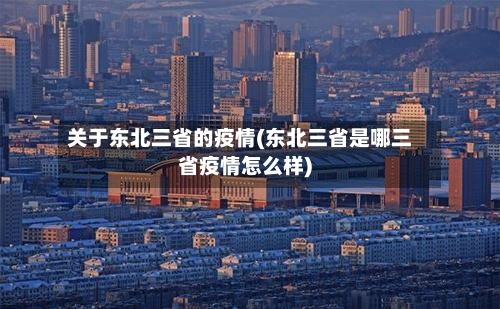 关于东北三省的疫情(东北三省是哪三省疫情怎么样)-第2张图片