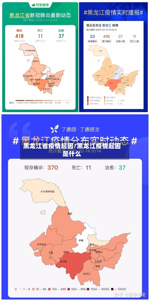 黑龙江省疫情起因/黑龙江疫情起因是什么-第1张图片