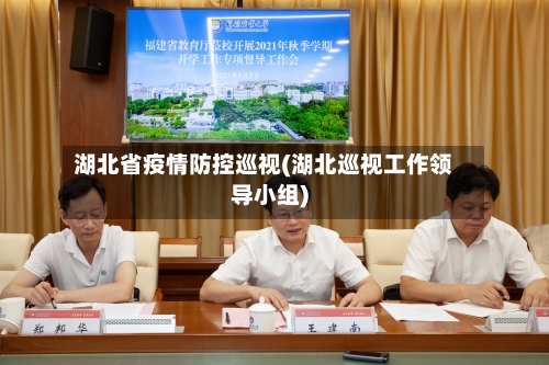 湖北省疫情防控巡视(湖北巡视工作领导小组)-第3张图片