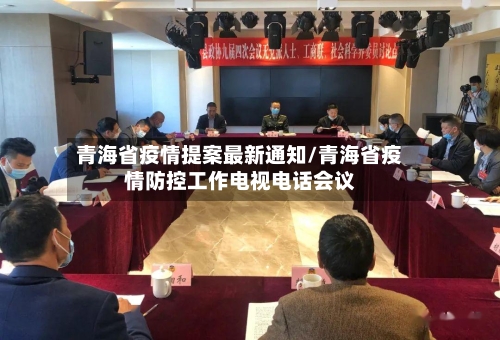 青海省疫情提案最新通知/青海省疫情防控工作电视电话会议-第1张图片