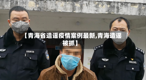 【青海省造谣疫情案例最新,青海造谣被抓】-第3张图片