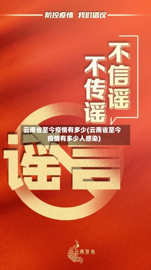 云南省至今疫情有多少(云南省至今疫情有多少人感染)-第2张图片