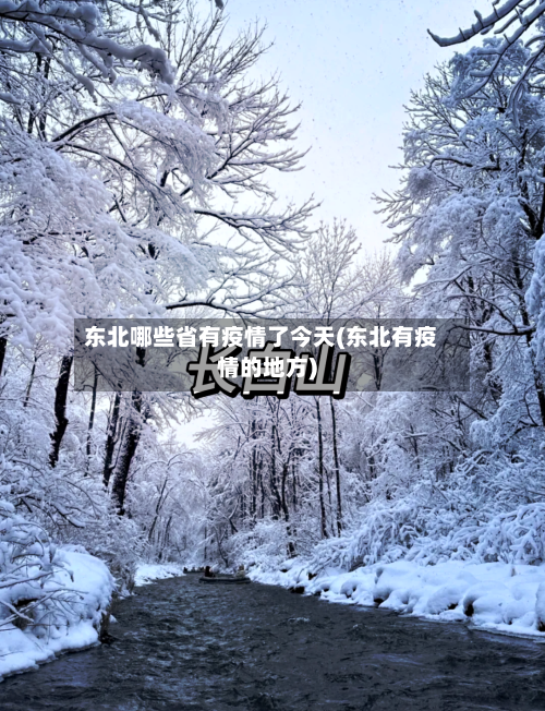 东北哪些省有疫情了今天(东北有疫情的地方)-第2张图片