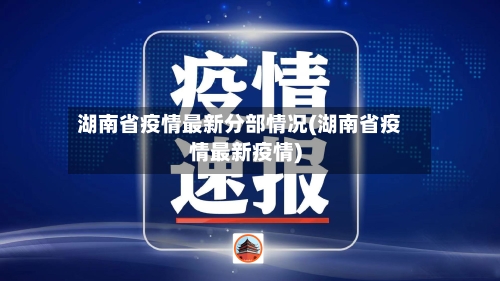 湖南省疫情最新分部情况(湖南省疫情最新疫情)-第2张图片