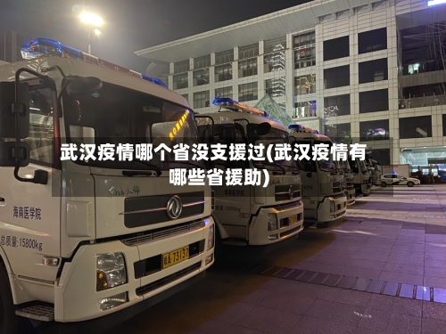 武汉疫情哪个省没支援过(武汉疫情有哪些省援助)-第1张图片