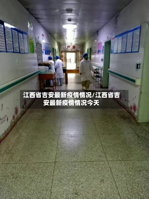 江西省吉安最新疫情情况/江西省吉安最新疫情情况今天-第2张图片