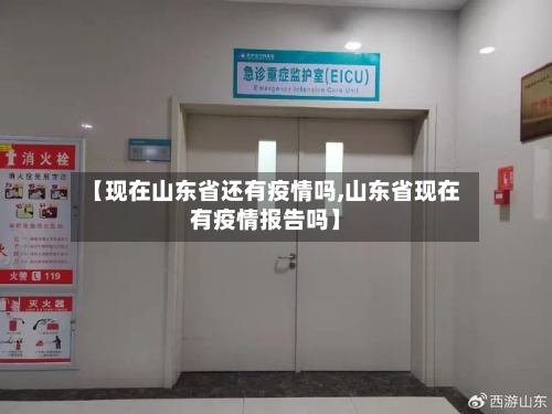 【现在山东省还有疫情吗,山东省现在有疫情报告吗】-第1张图片
