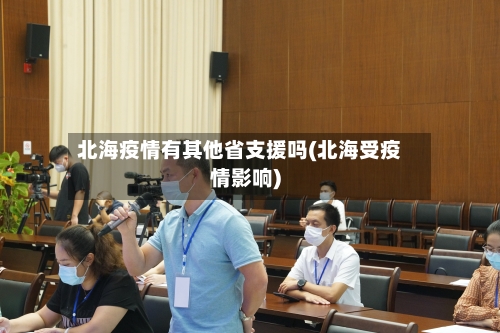 北海疫情有其他省支援吗(北海受疫情影响)-第2张图片