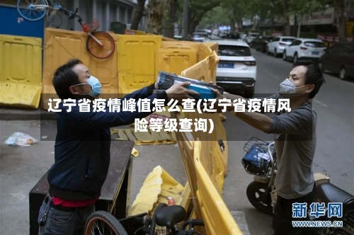 辽宁省疫情峰值怎么查(辽宁省疫情风险等级查询)-第2张图片