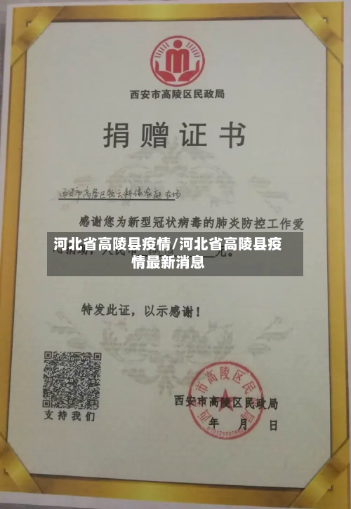 河北省高陵县疫情/河北省高陵县疫情最新消息-第2张图片