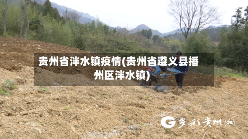 贵州省泮水镇疫情(贵州省遵义县播州区泮水镇)-第1张图片