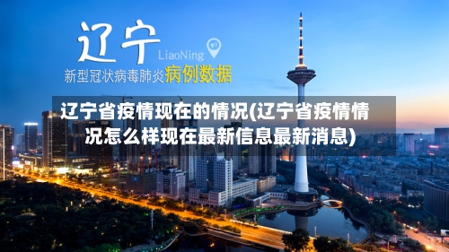 辽宁省疫情现在的情况(辽宁省疫情情况怎么样现在最新信息最新消息)-第3张图片