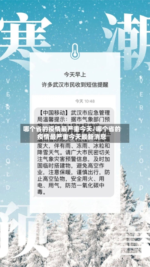 哪个省的疫情最严重今天/哪个省的疫情最严重今天最新消息-第2张图片