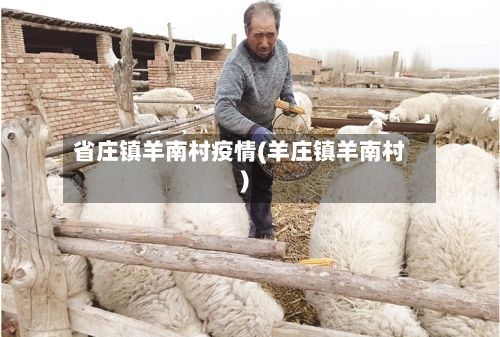 省庄镇羊南村疫情(羊庄镇羊南村)-第1张图片