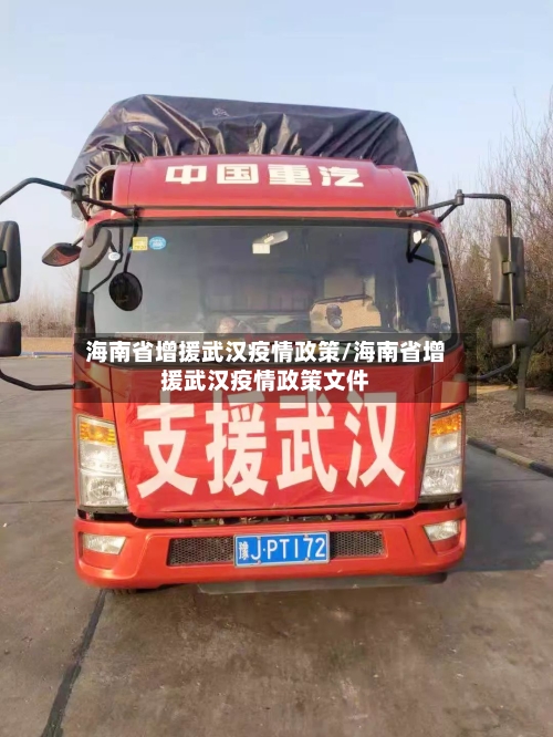 海南省增援武汉疫情政策/海南省增援武汉疫情政策文件-第1张图片