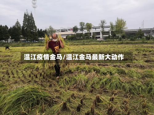 温江疫情金马/温江金马最新大动作-第1张图片