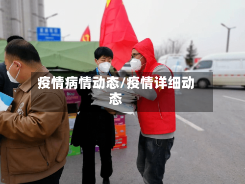 疫情病情动态/疫情详细动态-第1张图片