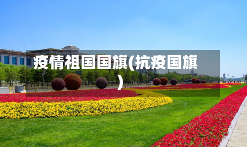 疫情祖国国旗(抗疫国旗)-第2张图片