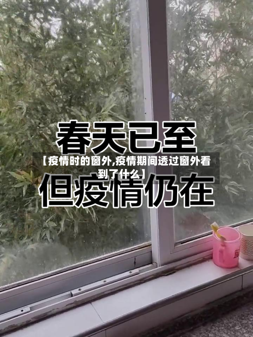 【疫情时的窗外,疫情期间透过窗外看到了什么】-第3张图片