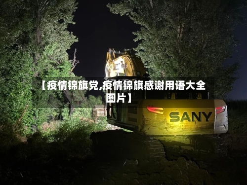 【疫情锦旗党,疫情锦旗感谢用语大全图片】-第2张图片