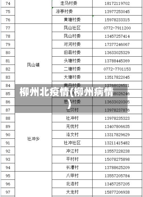 柳州北疫情(柳州病情)-第3张图片