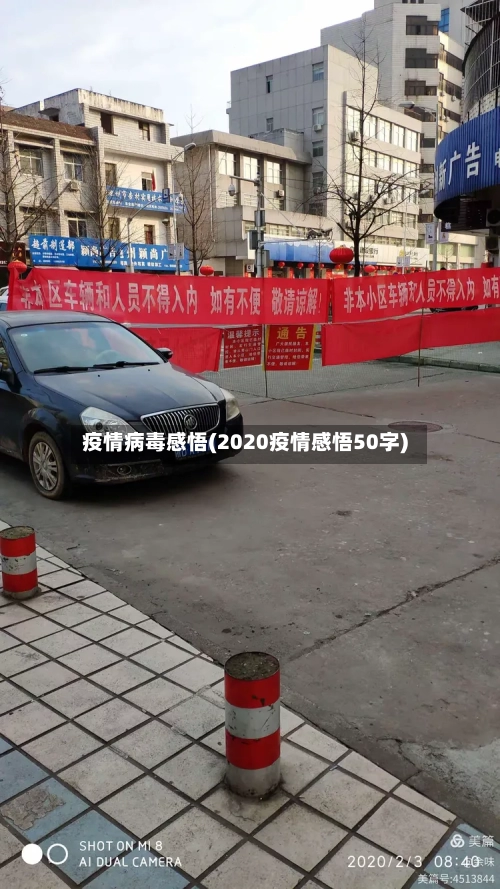 疫情病毒感悟(2020疫情感悟50字)-第1张图片