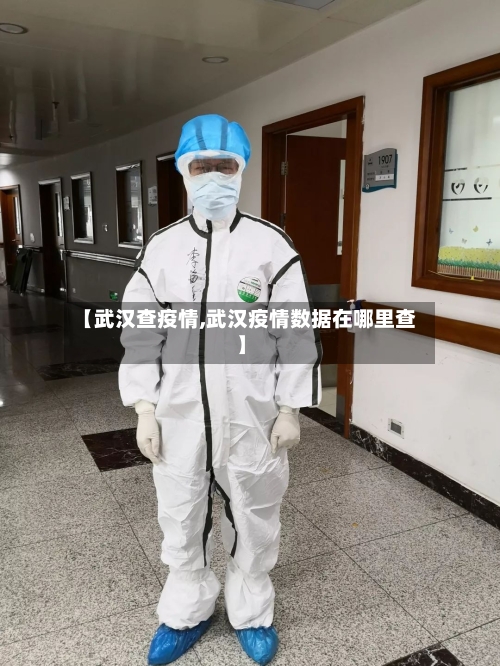 【武汉查疫情,武汉疫情数据在哪里查】-第1张图片