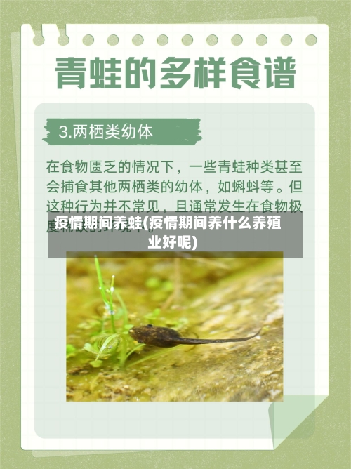疫情期间养蛙(疫情期间养什么养殖业好呢)-第2张图片
